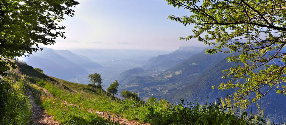 Eine Ansicht von reich bewachsenen Bergseiten in Südtirol