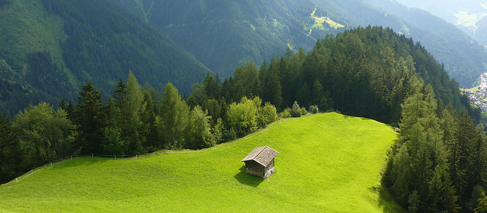 Eine Almhütte in den Südtiroler Alpen umgeben von einer grossen grünen Wiese